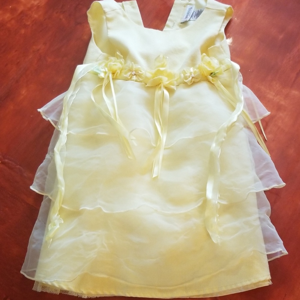 Youngland 3T Floral Dress